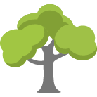 Meridian Tree Removal Service