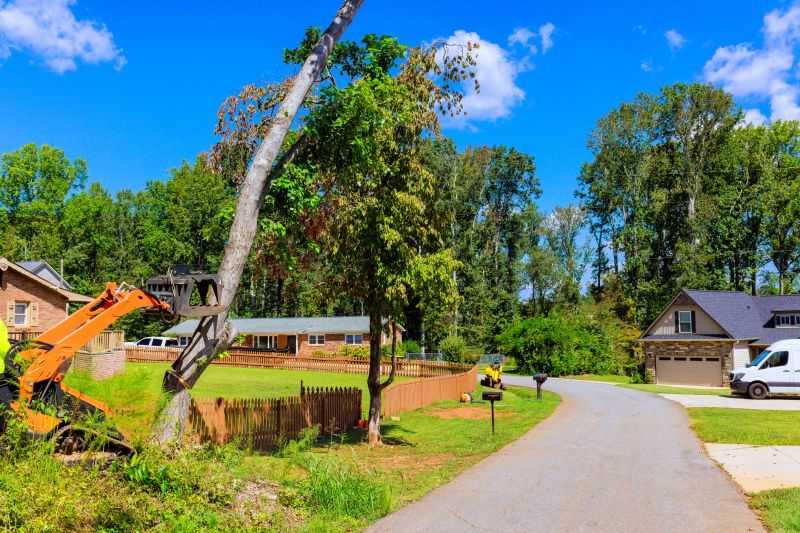 Space-Smart Ideas — Advanced